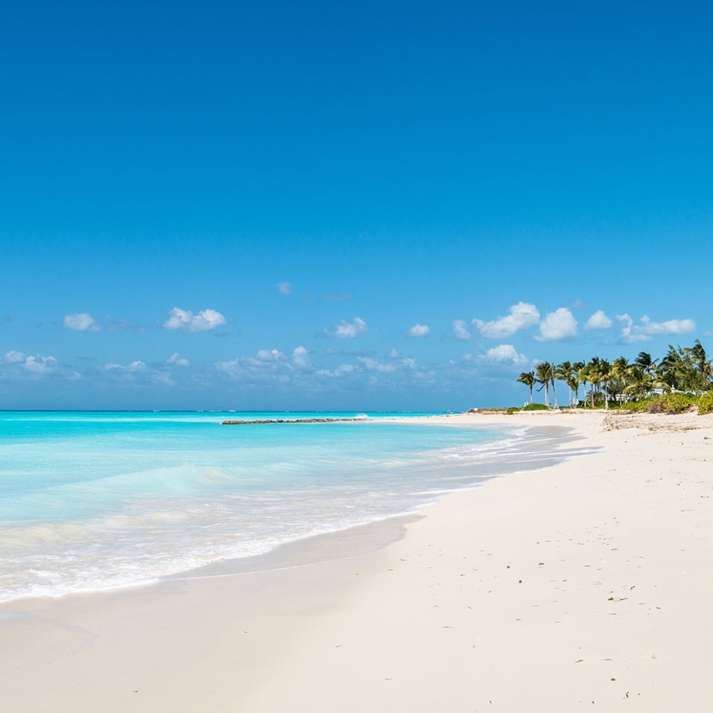 Meet your Posher, Isabelle